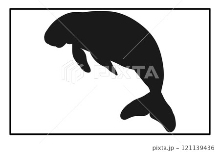 Manatee Silhouette ,Animal Icons, Sea life, Ocean 121139436