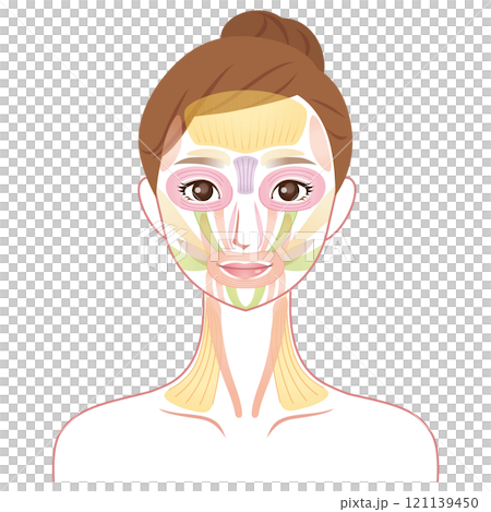 How facial muscles work: Beauty, Facial muscles 121139450