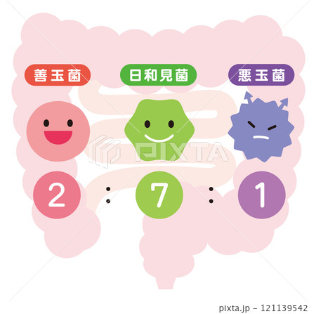 腸内細菌のバランス　腸内フローラ 121139542