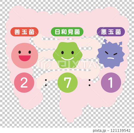 腸内細菌のバランス　腸内フローラ 121139542