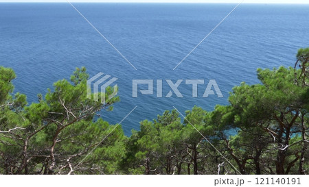 Black Sea coast of a wild beach near the Cape Idokopas, not far from the famous Putin's secret palace, rural area of the municipality resort town of Gelendzhik 121140191
