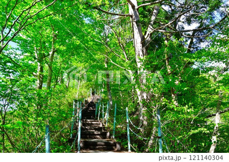 蛇淵の滝への道(新潟県) 蛇淵の滝への道(新潟県) 121140304