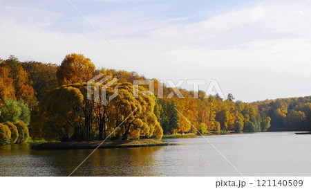 Autumn leaves fall in the forest, natural landscape Autumn leaves fall in the forest, natural landscape 121140509