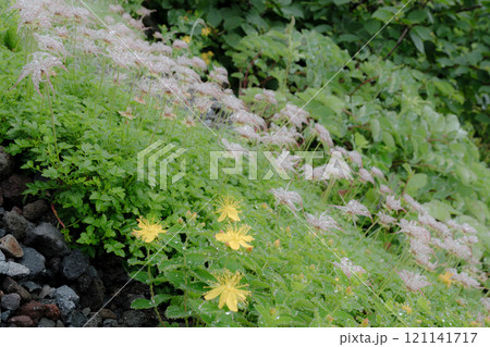 北海道の風景 121141717