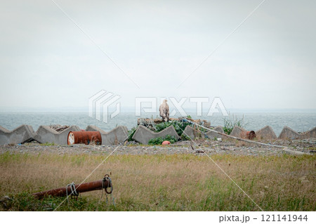 北海道の風景 北海道の風景 121141944