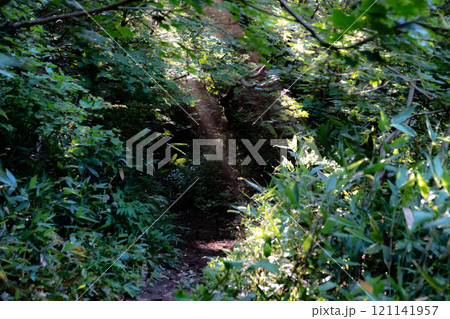 北海道の風景 北海道の風景 121141957