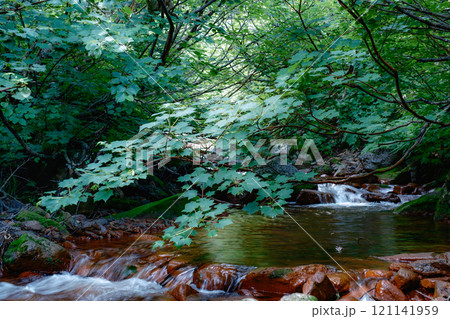 北海道の風景 121141959