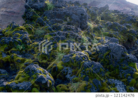 北海道の風景 121142476