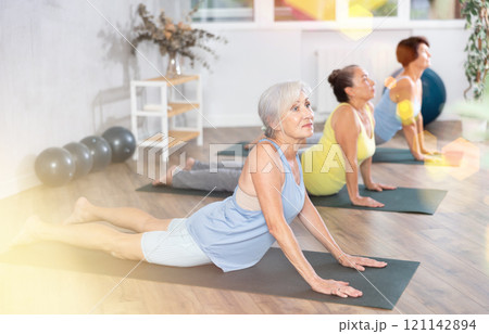 Group of elderly woman doing yoga on mat in studio Group of elderly woman doing yoga on mat in studio 121142894