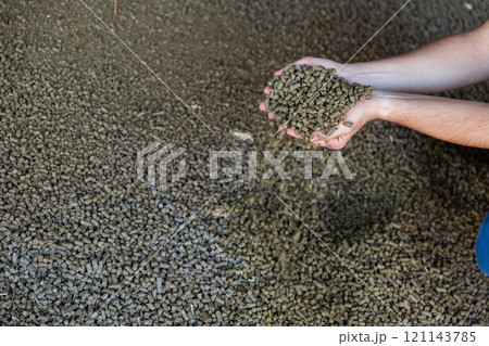 Hands holding bunch of reapeseed cake Hands holding bunch of reapeseed cake 121143785