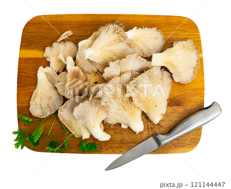 Oyster mushrooms served on table white background Oyster mushrooms served on table white background 121144447