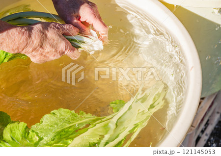 お菜洗い 121145053
