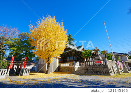 尾久八幡神社の銀杏の木の紅葉　黄葉 121145166