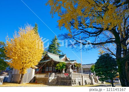 尾久八幡神社の銀杏の木の紅葉 黄葉 尾久八幡神社の銀杏の木の紅葉 黄葉 121145167