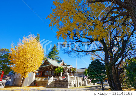 尾久八幡神社の銀杏の木の紅葉　黄葉 121145168