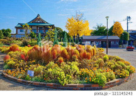 宮前公園のカラフルな花壇と紅葉　コキア 121145243