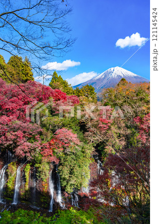 静岡県富士宮市 紅葉の白糸の滝と富士山 静岡県富士宮市 紅葉の白糸の滝と富士山 121145424
