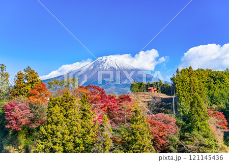 静岡県富士宮市白糸の滝　芝生広場からみた紅葉と富士山 121145436