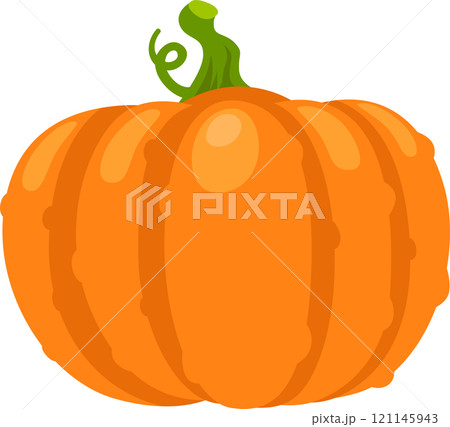 Vibrant orange pumpkin with a curly green stem, isolated on a white background, evokes the spirit of autumn harvests and festive celebrations Vibrant orange pumpkin with a curly green stem, isolated on a white background, evokes the spirit of autumn harvests and festive celebrations 121145943