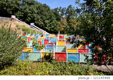 三田市　深田公園　巨大迷路 121145998