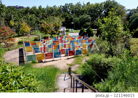 三田市 深田公園 巨大迷路 三田市 深田公園 巨大迷路 121146015