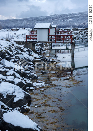 Yachts harbor in Narvik, Norway 121146230