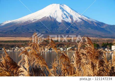 ススキと富士山 121147234