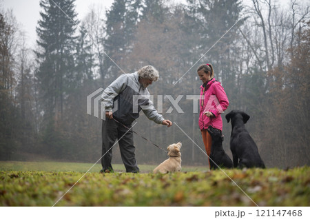Dog trainer teaching a senior man to train his dog obedience Dog trainer teaching a senior man to train his dog obedience 121147468