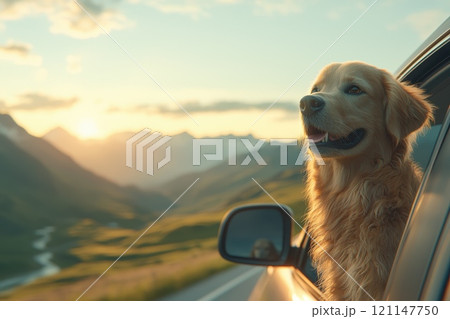 A dog is sitting in a car window looking out at the mountains A dog is sitting in a car window looking out at the mountains 121147750