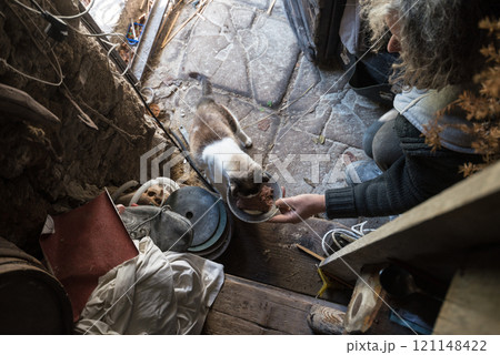 High angle view of old man with unkempt long gray hair feeding cat High angle view of old man with unkempt long gray hair feeding cat 121148422