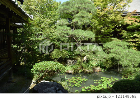 夏の永観堂禅林寺　緑の庭園(京都市左京区) 121149368