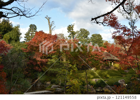 妙心寺塔頭 退蔵院庭園「余香苑」 妙心寺塔頭 退蔵院庭園「余香苑」 121149558