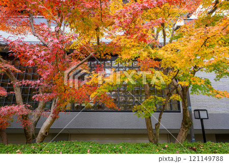 秋の京都。祇園、八坂神社・円山公園の紅葉 121149788