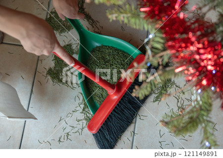 Cleaning up holiday tree needles: hands sweeping pine needles from floor with broom and dustpan. 121149891