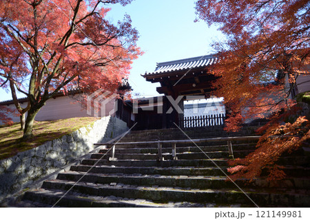 曼殊院 勅使門と紅葉 京都市左京区 曼殊院 勅使門と紅葉 京都市左京区 121149981