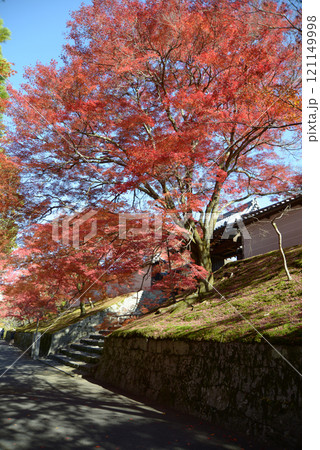 曼殊院 勅使門と紅葉 京都市左京区 曼殊院 勅使門と紅葉 京都市左京区 121149998