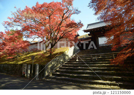曼殊院 勅使門と紅葉 京都市左京区 曼殊院 勅使門と紅葉 京都市左京区 121150000