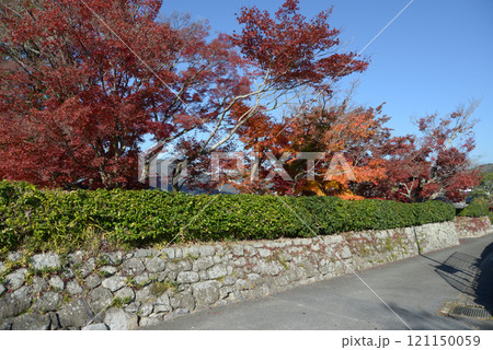 禅華院 石垣と紅葉 京都市左京区修学院 禅華院 石垣と紅葉 京都市左京区修学院 121150059
