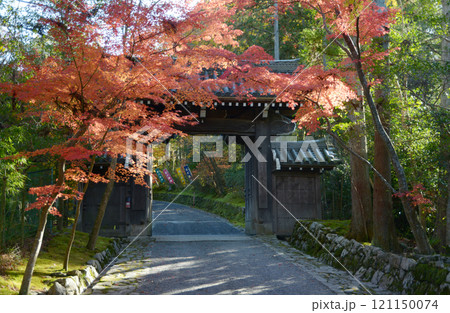 赤山禅院 山門の紅葉 京都市左京区 赤山禅院 山門の紅葉 京都市左京区 121150074