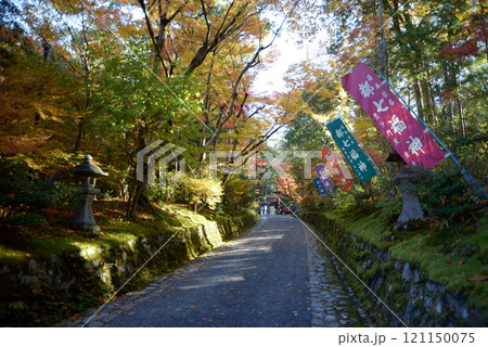 赤山禅院 紅葉の参道 京都市左京区 赤山禅院 紅葉の参道 京都市左京区 121150075