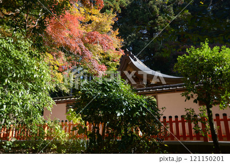 鷺森神社 本殿と紅葉 京都市左京区修学院 鷺森神社 本殿と紅葉 京都市左京区修学院 121150201