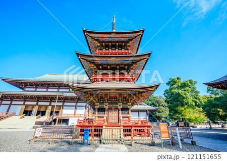 秋の成田山新勝寺　三重塔　千葉県成田市 121151655