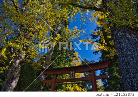 紙の神様をまつる神社の秋 岡太神社・大瀧神社 紙の神様をまつる神社の秋 岡太神社・大瀧神社 121152872