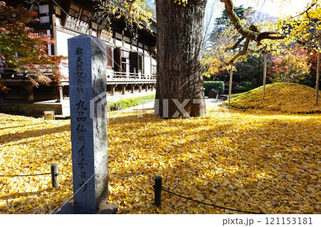 九品仏境内の銀杏の落ち葉と本堂の秋景色 121153181