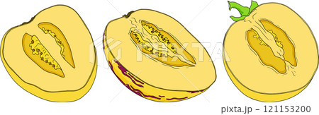 Pepino fruit, melon pear, Solanum muricatum. Fresh pepino fruit . 121153200