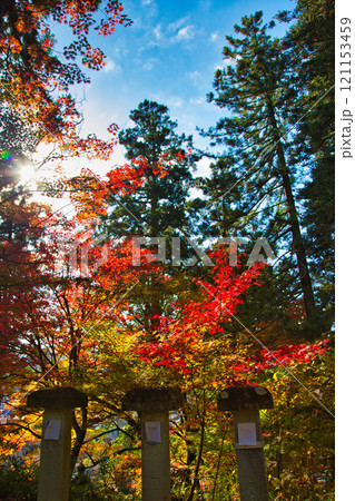花筐公園の秋深まる 121153459