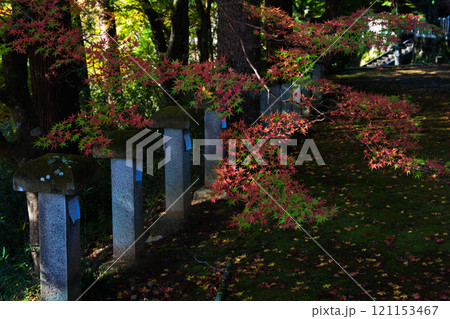 花筐公園の秋深まる 121153467