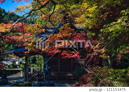 花筐公園の秋深まる 121153475