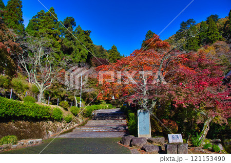 花筐公園の秋深まる 121153490