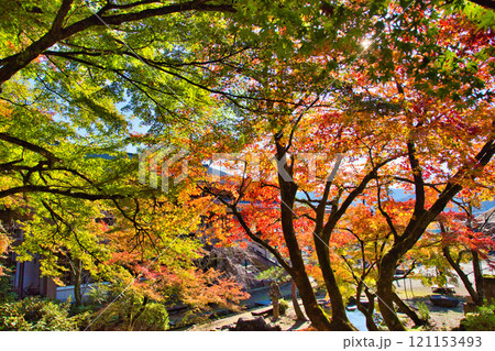 花筐公園の秋深まる 121153493